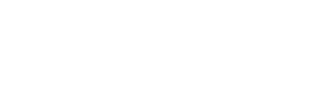 Pasarela Profesional